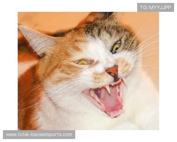 高清足球明星拉面头像图片合集精美呈现让你大开眼界